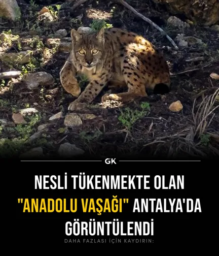 Example use: photo and headline, short