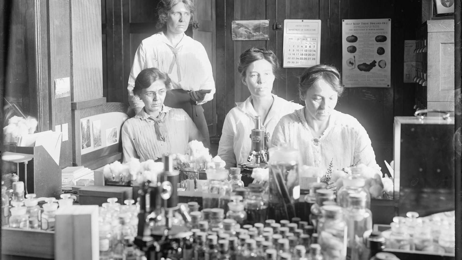 Four women scientists working together at a laboratory bench crowded with microscopes and culture jars, 1916