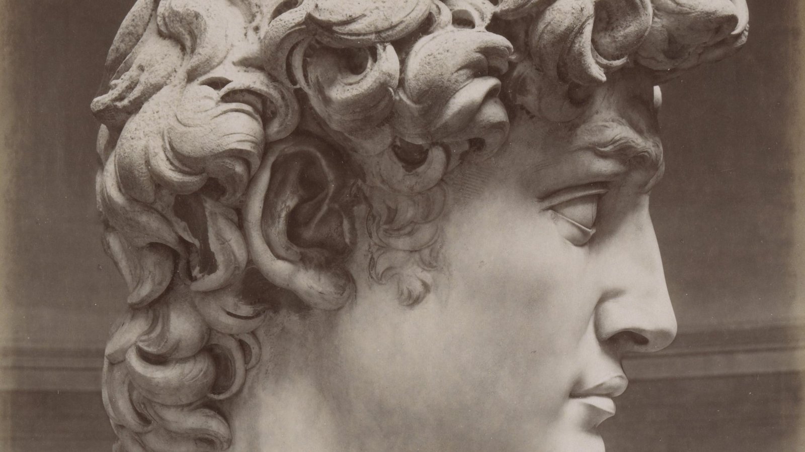 Michelangelo'nun David heykelinin profilden başı: kıvırcık saçları, kaşları ve dudakları