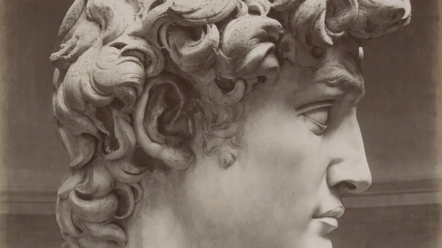 Michelangelo'nun David heykelinin profilden başı: kıvırcık saçları, kaşları ve dudakları