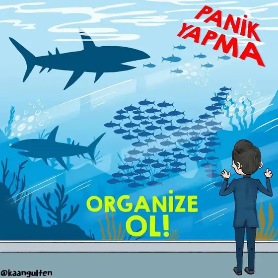 Karikatür: Köpekbalığına karşı sürü halinde yüzen balıkları izleyen Kaan Gülten; 'Panik yapma, organize ol!' yazısı